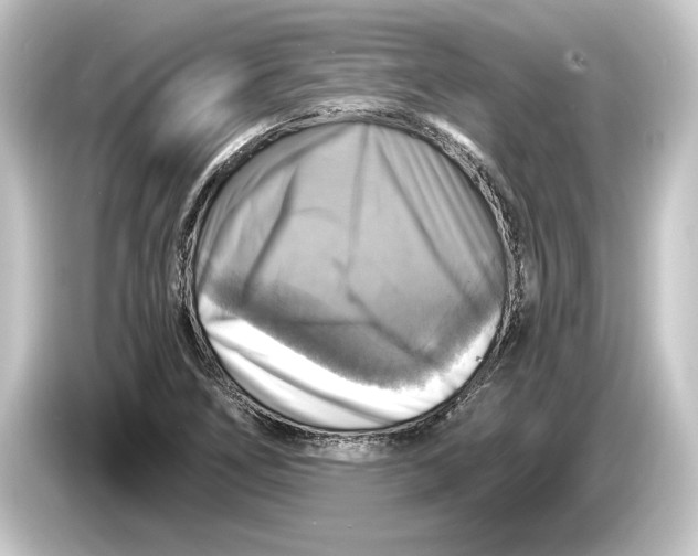 X0000084531266200703161600