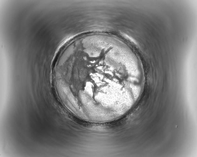 X0000084531267200703161600