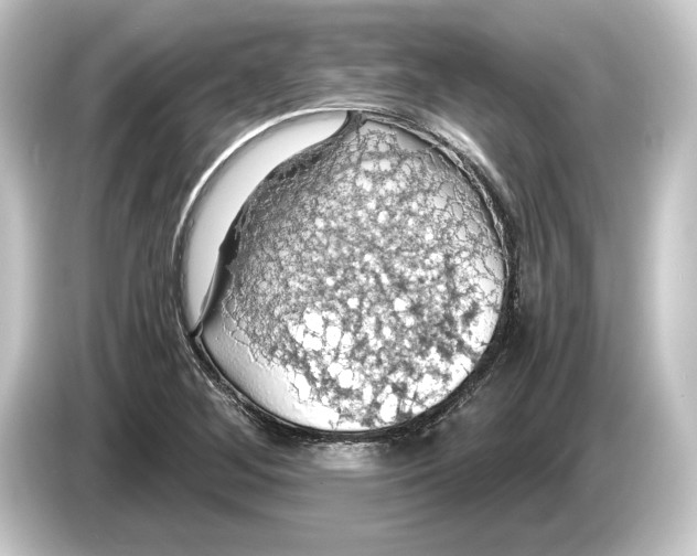 X0000084531268200703161600