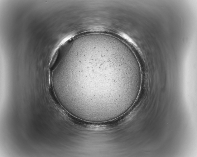 X0000084531269200703161600