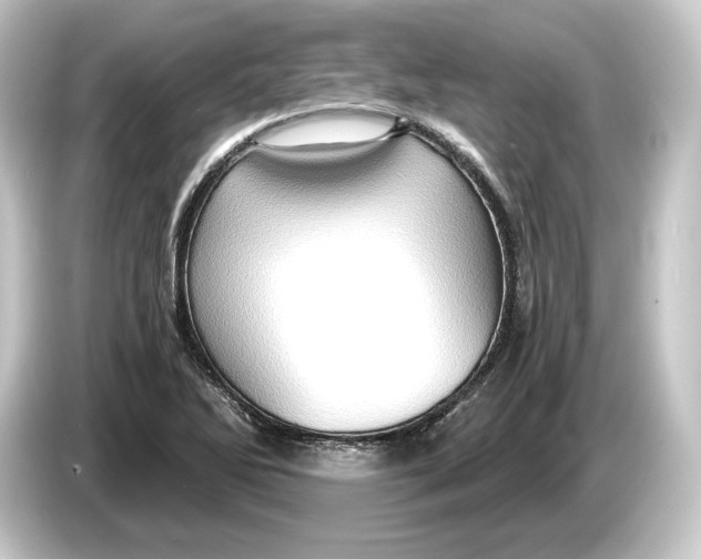 X0000084531270200703161600