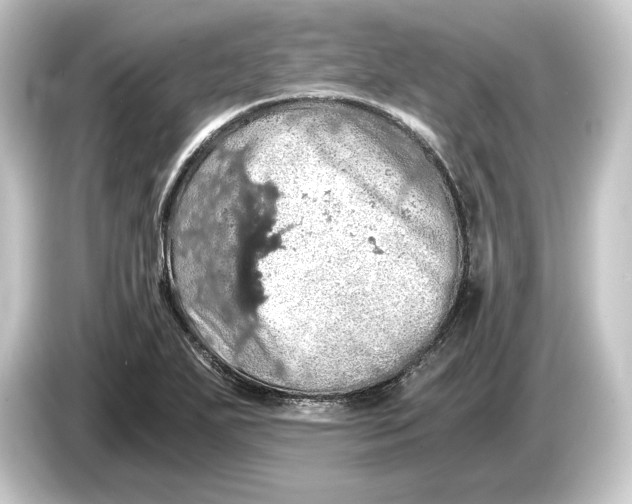 X0000084531271200703161600