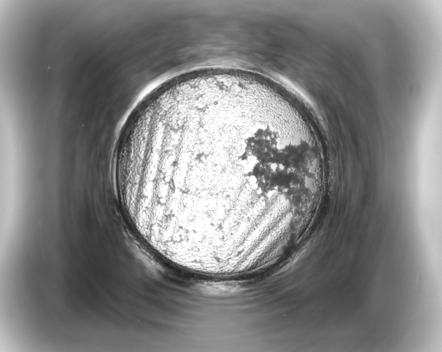 X0000084531272200703161600