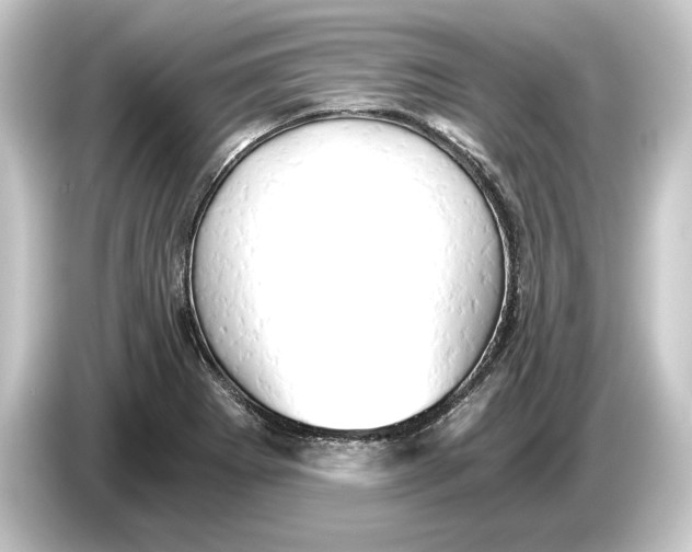 X0000084531273200703161600