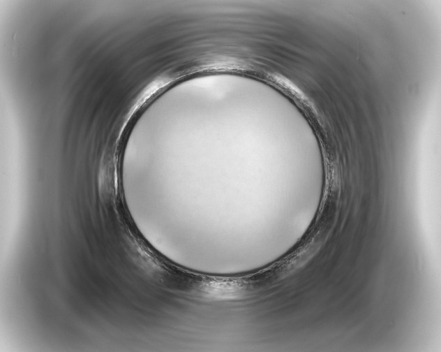 X0000084531274200703161600