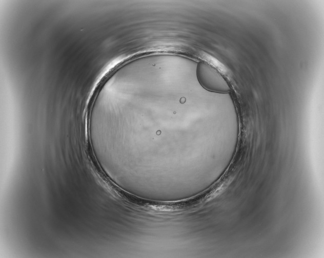 X0000084531275200703161600