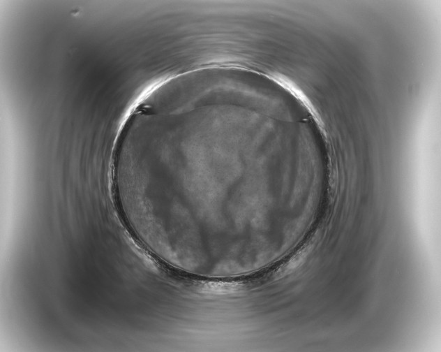 X0000084531277200703161600