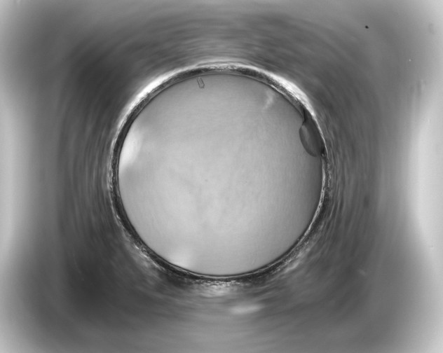 X0000084531279200703161600