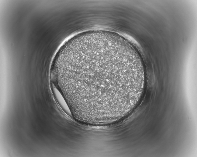 X0000084531280200703161600