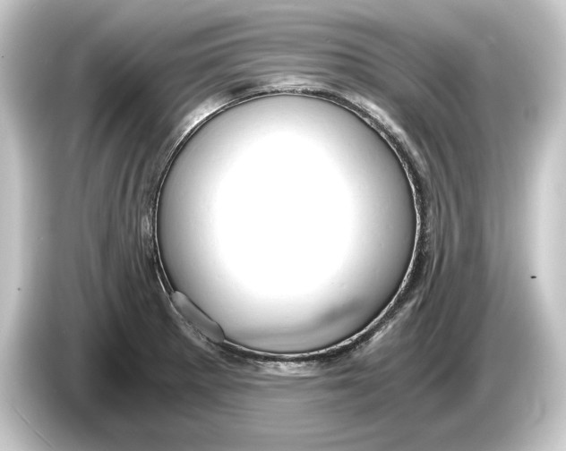 X0000084531281200703161600