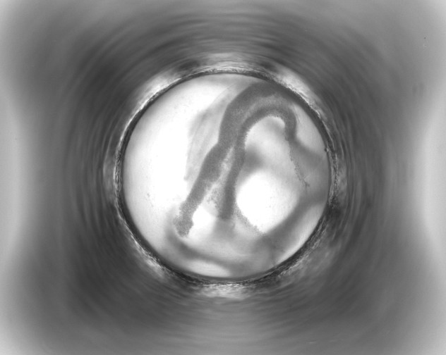 X0000084531282200703161600