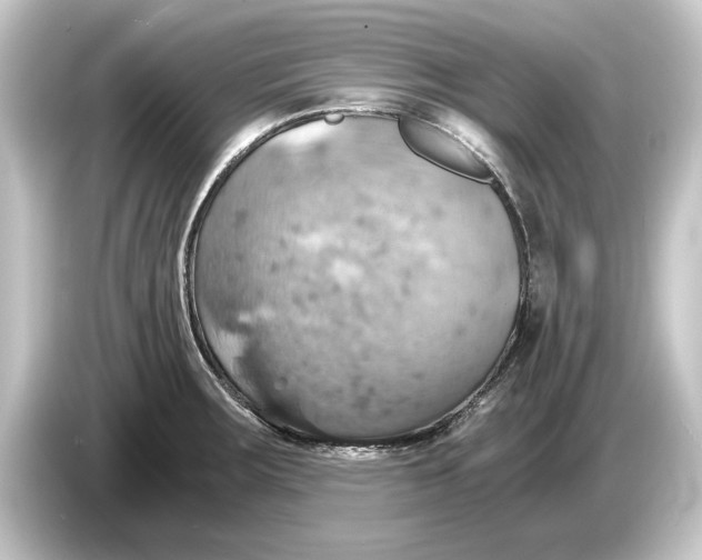 X0000084531283200703161600