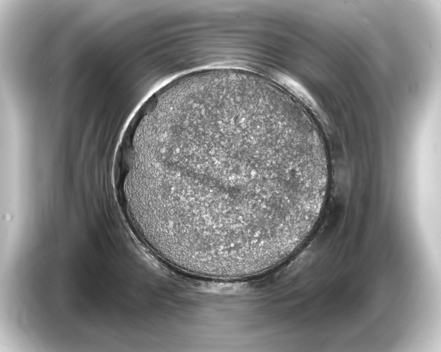 X0000084531284200703161600