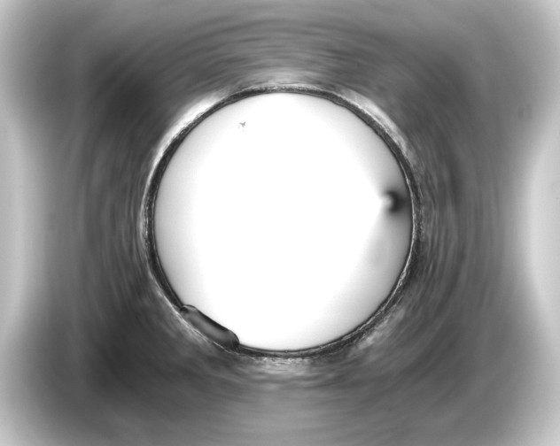 X0000084531285200703161600