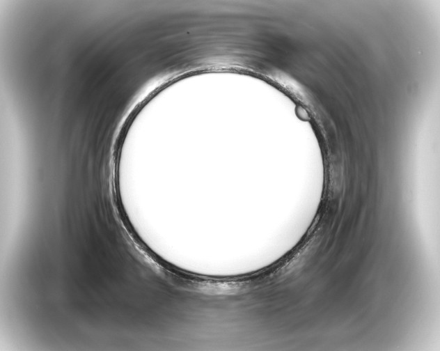 X0000084531286200703161600