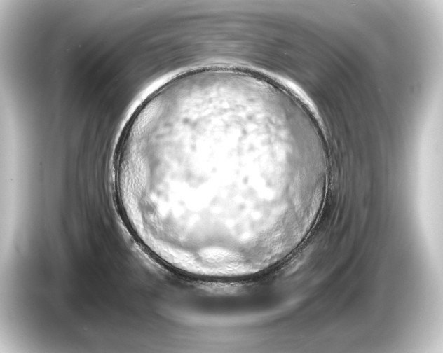 X0000084531287200703161600