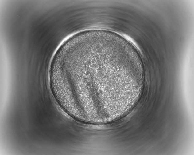 X0000084531288200703161600