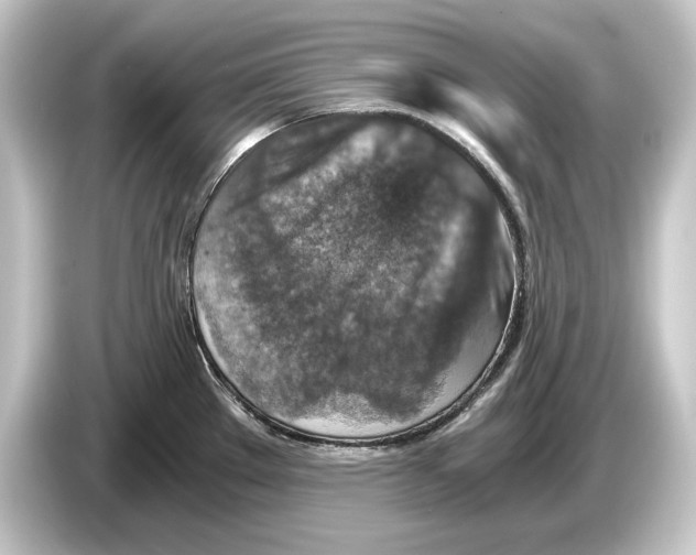 X0000084531289200703161600