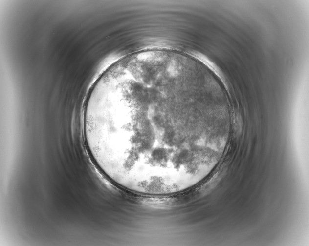 X0000084531290200703161600