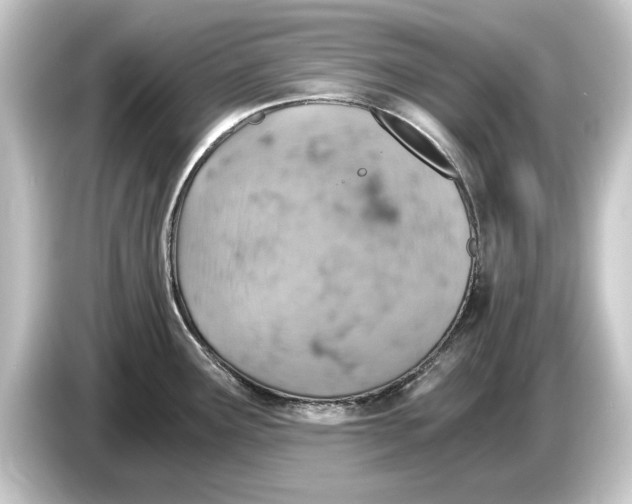 X0000084531291200703161600