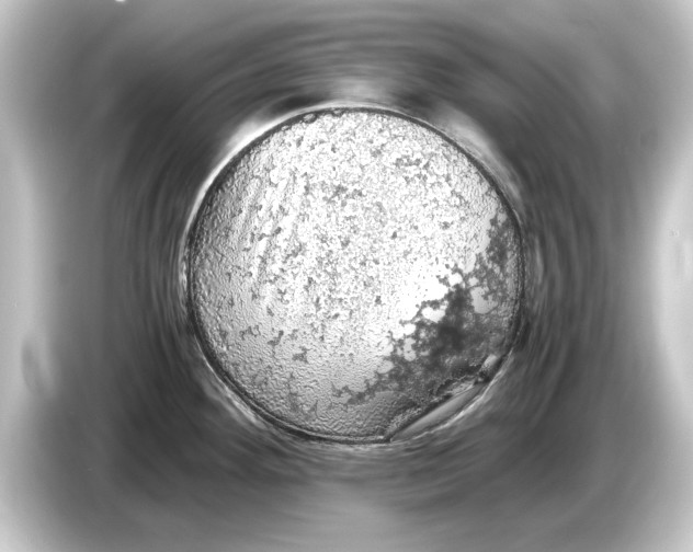 X0000084531292200703161600