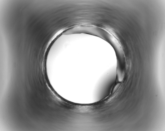 X0000084531293200703161600