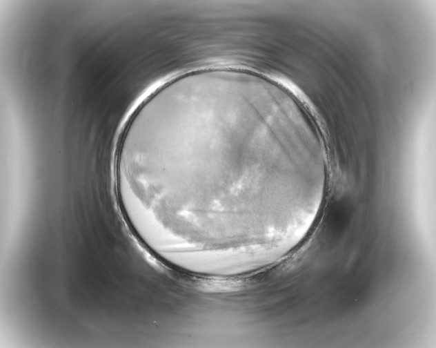 X0000084531294200703161600