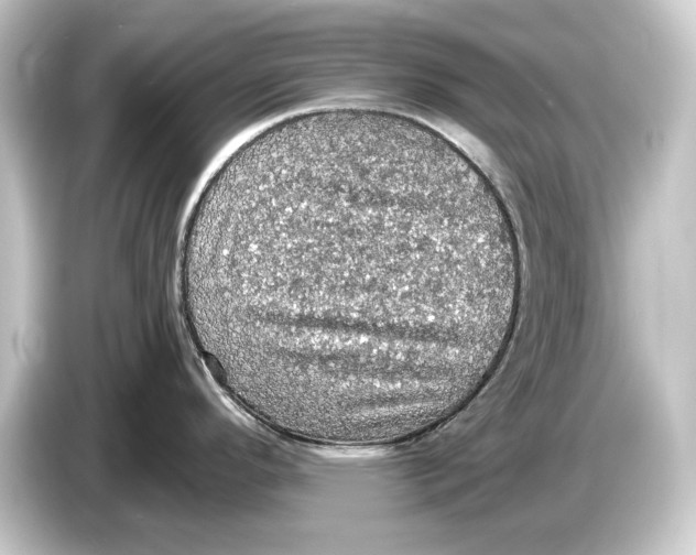 X0000084531296200703161600