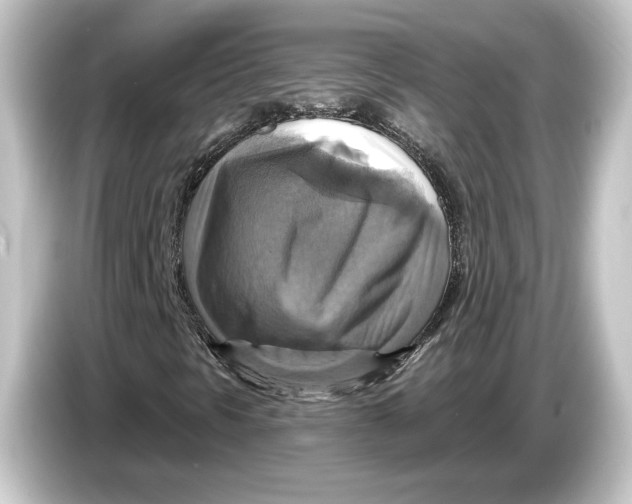 X0000084531297200703161559