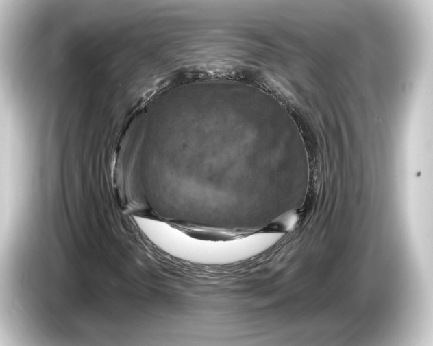 X0000084531298200703161559