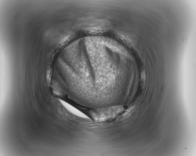 X0000084531300200703161559