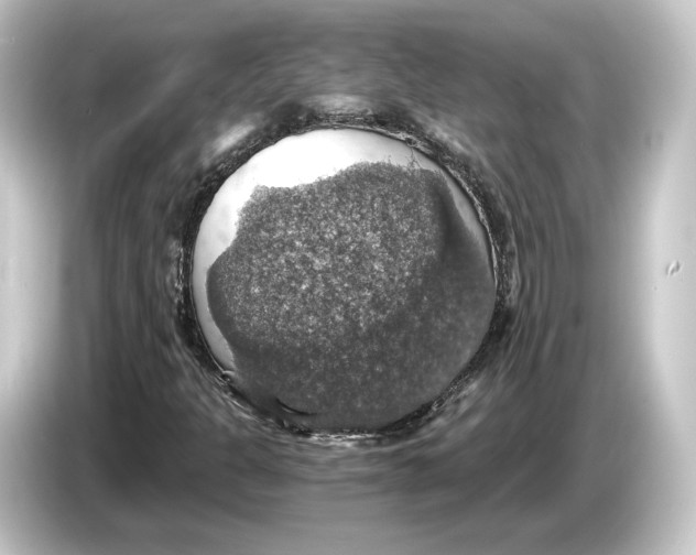 X0000084531301200703161559