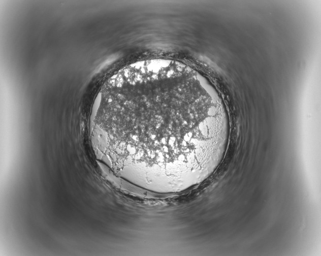 X0000084531302200703161559