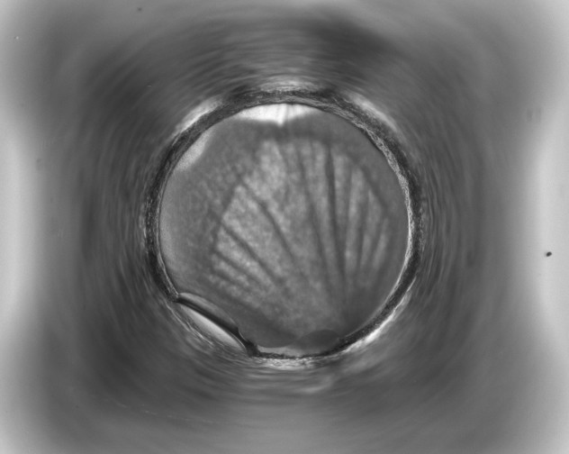 X0000084531305200703161559