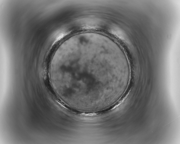 X0000084531306200703161559