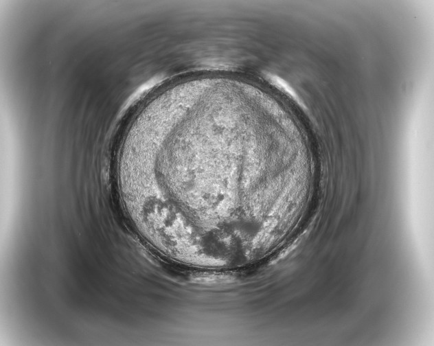 X0000084531307200703161559