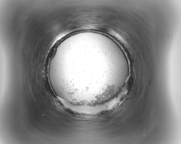 X0000084531308200703161559