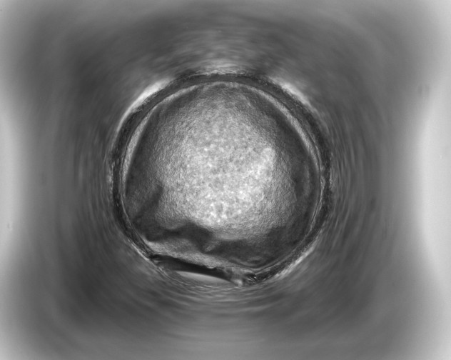 X0000084531309200703161559