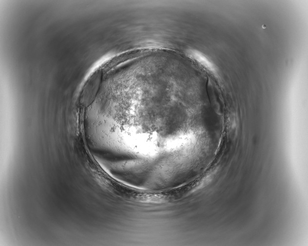 X0000084531310200703161559