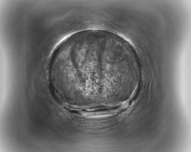 X0000084531311200703161559