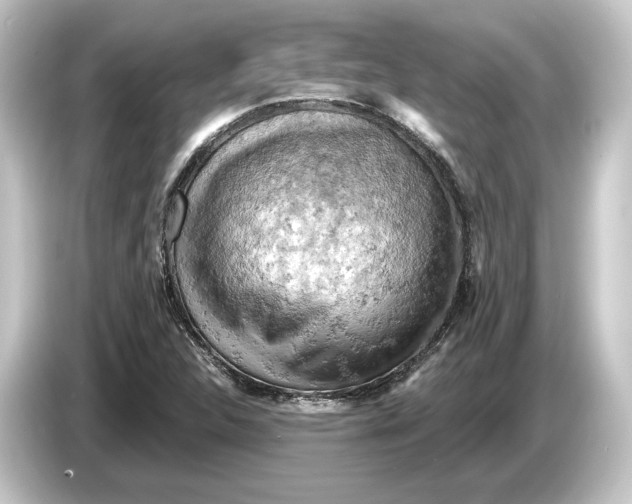 X0000084531312200703161559