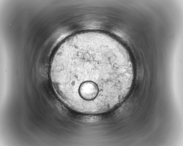 X0000084531314200703161559