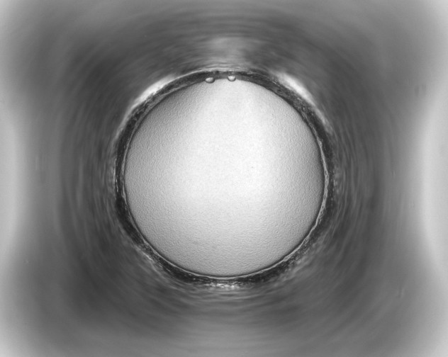 X0000084531315200703161559