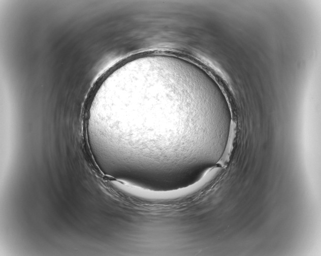 X0000084531316200703161559