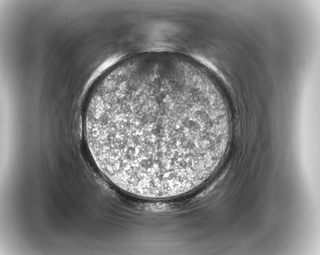 X0000084531317200703161559