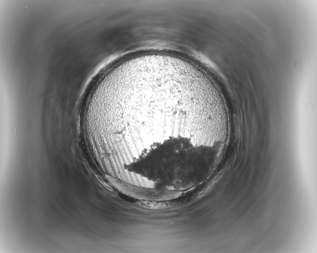 X0000084531318200703161559