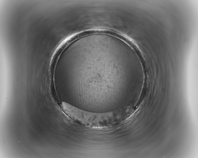 X0000084531319200703161559