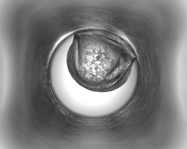 X0000084531320200703161559