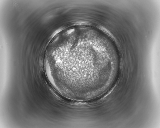 X0000084531321200703161559