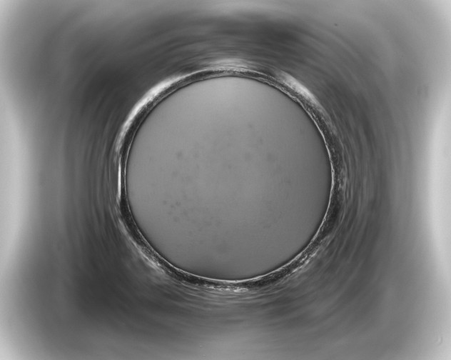 X0000084531323200703161559